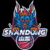 Shandong Hi-Speed